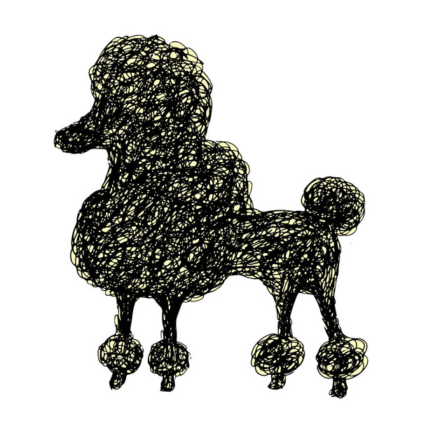 Siluetti koira villakoira, doodle tyyli, sarjakuva scribble pentu
 - Vektori, kuva
