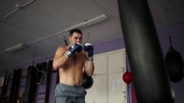 Muscular male professional boxer trains by punching bag at the gym in Boxing gloves bare-chested. - Záběry, video