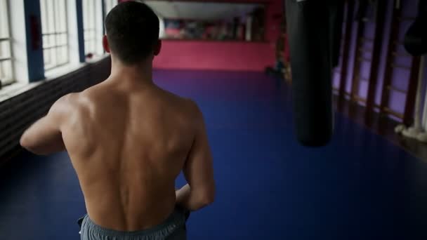 Pohled zezadu na pejsek boxer dělá údery za pytel Boxerské rukavice v tělocvičně. Profesionální boxer provádí výcvik boxu rozhalenou. Detail. - Záběry, video