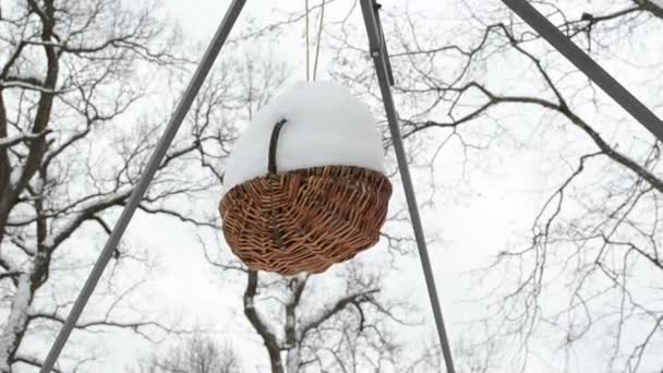 Weidenkorb Schnee Winter - Filmmaterial, Video