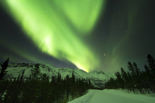 Luces boreales sobre Annie Lake Road, Territorio del Yukón, Canadá
 - Foto, imagen