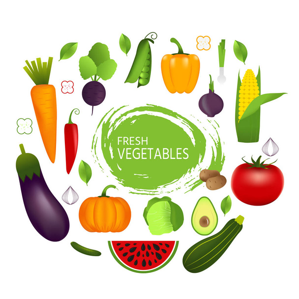 Gesundes Gemüse: Karotten, Zwiebeln, Tomaten, Paprika, Auberginen, Gurken, Kohl, Kürbis, Mark Wassermelonen Avocado. Qualitätsvektorillustration über Ernährung Öko-Lebensmittel vegan - Vektor, Bild