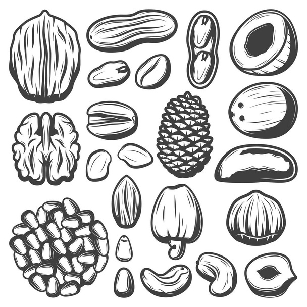 Vintage Organic Nuts Collection - Vector, Image
