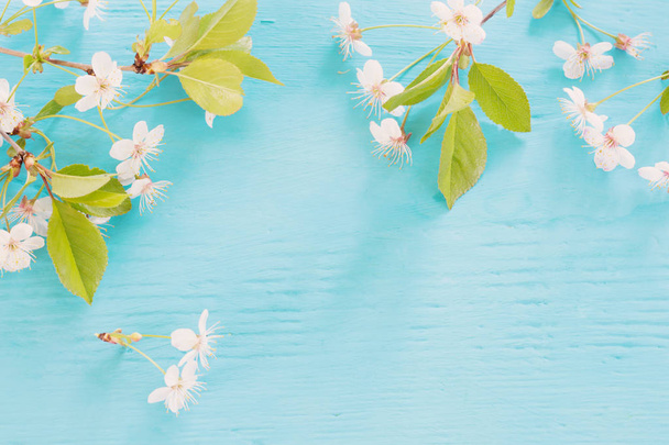 Mavi ahşap arka plan üzerinde beyaz bahar çiçekleri - Fotoğraf, Görsel