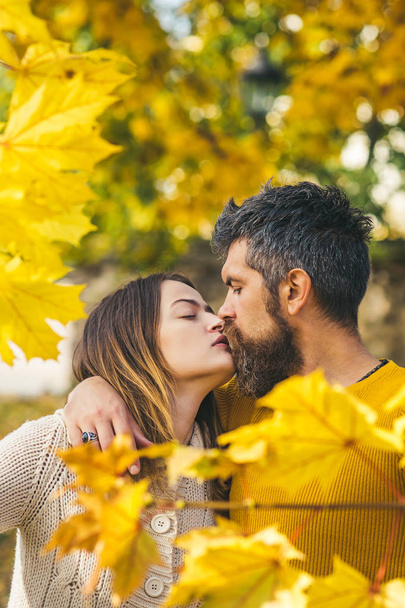 autumn happy couple in love with yellow tree leaves - Foto, Imagen