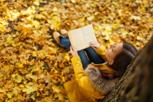 Uma bela mulher de cabelos castanhos sorridente feliz em casaco amarelo e jeans sentado sob a árvore de bordo com um livro vermelho no parque da cidade de outono em um dia quente. Folhas douradas de outono. Conceito de leitura. Vista superior
. - Foto, Imagem