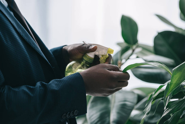 cropped shot of businessman watering leaves of plant at office - Фото, изображение
