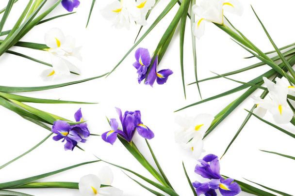 Bouquet of iris flowers on white background - Fotoğraf, Görsel