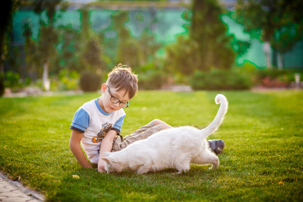 pieni poika ruokkii koditonta kissaa puutarhassa
 - Valokuva, kuva