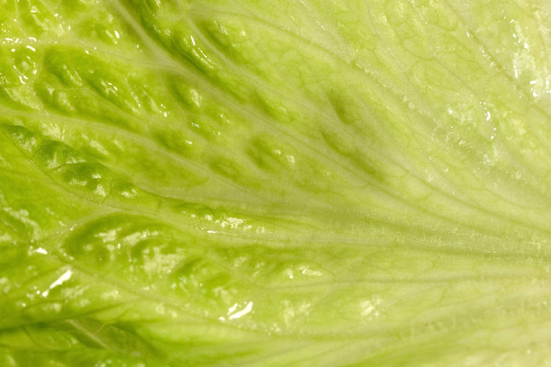 Fresh light green salad in enlarged size. - Photo, Image