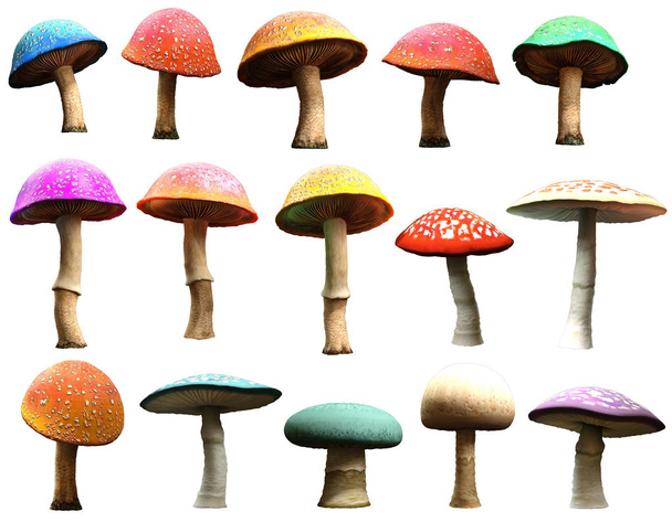 Una selezione di funghi illustrazione 3D
 - Foto, immagini