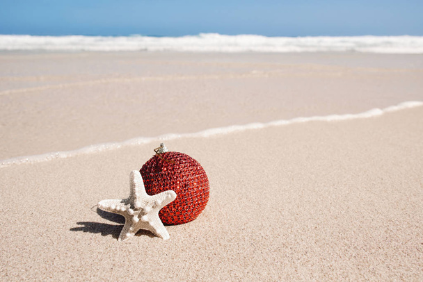 boule de Noël et étoile de mer dans le sable d'une plage
 - Photo, image