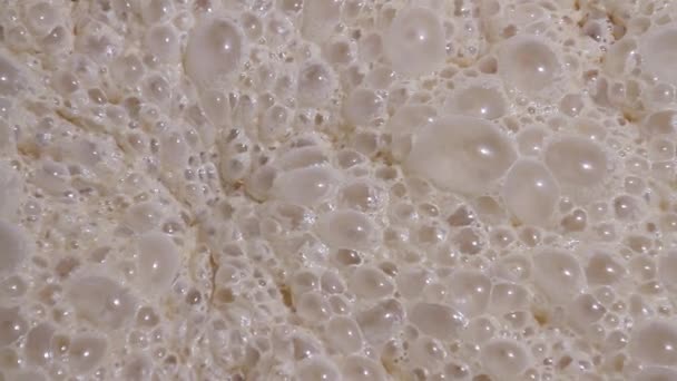 Fermentacji drożdży ferment zbliżenie - Materiał filmowy, wideo