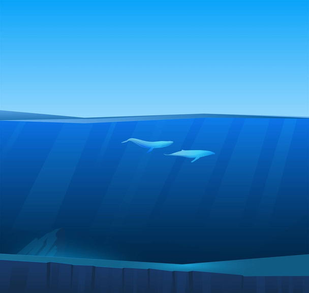 Two big whales under water in deep sea under water - Vector, Image