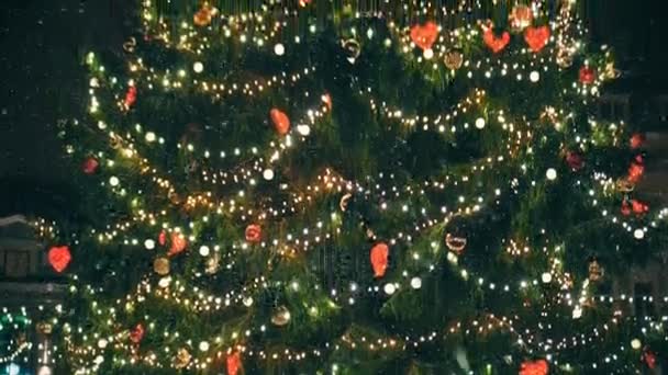 Рождественская елка на Ратушной площади
. - Кадры, видео