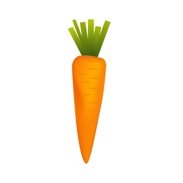 Healthy carrot with vitamins and minerals. Quality vector illustration about diet, eco food, benefits of vegan and nutrition concept. - Vektor, obrázek