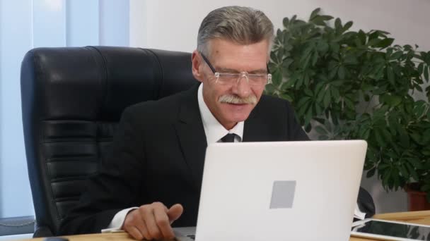 elderly businessman working with computer in modern office - Video