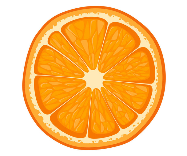 Векторний помаранчевий шматочок ізольовано на білому тлі. Ілюстрація цитрусових. Векторні ілюстрації для декоративного плаката, емблеми природного продукту, ринку фермерів. Сторінка сайту та дизайн мобільних додатків
 - Вектор, зображення