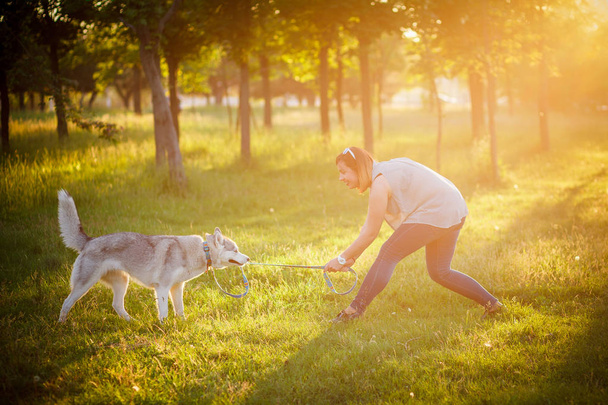 Girl Training the dog husky - Foto, Imagen