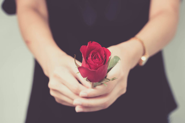 kadın elini tut kırmızı rose.valentin'ın gün kavramı her aşık  - Fotoğraf, Görsel