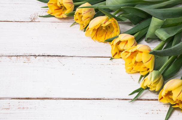 Yellow tulips, spring background for women's day - 8 march or card for mother's day - 写真・画像