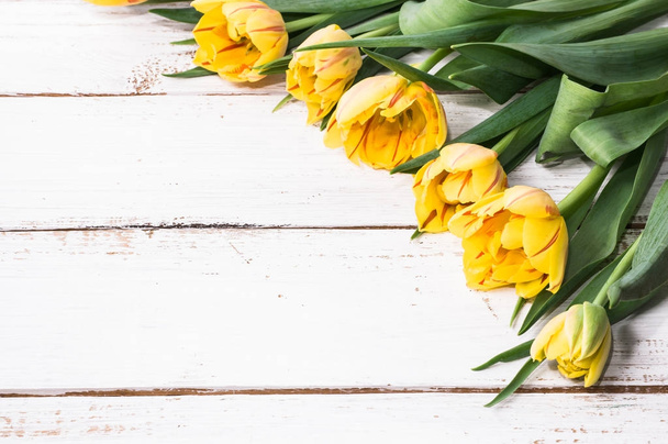 Желтые тюльпаны, весенний фон для женского дня - 8 марта или открытка на День матери
 - Фото, изображение