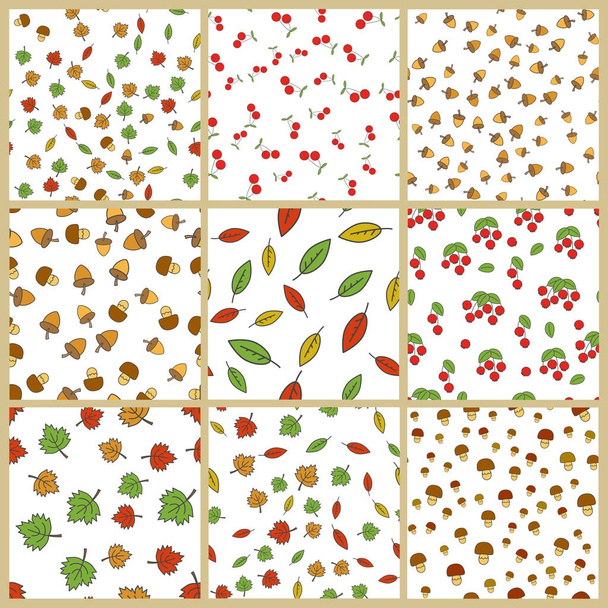 Plantas de otoño Elemento Vector Conjunto de patrones sin costura
 - Vector, imagen