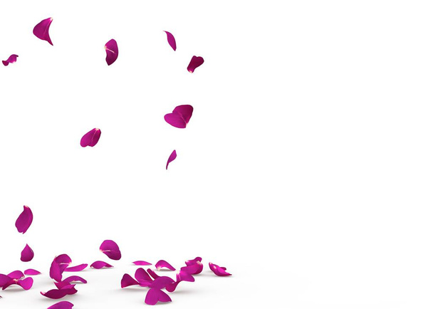 Pétalos de rosa caen al suelo
 - Foto, Imagen