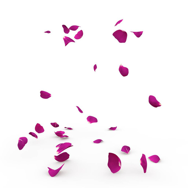 Pétalos de rosa violeta caen al suelo
 - Foto, imagen