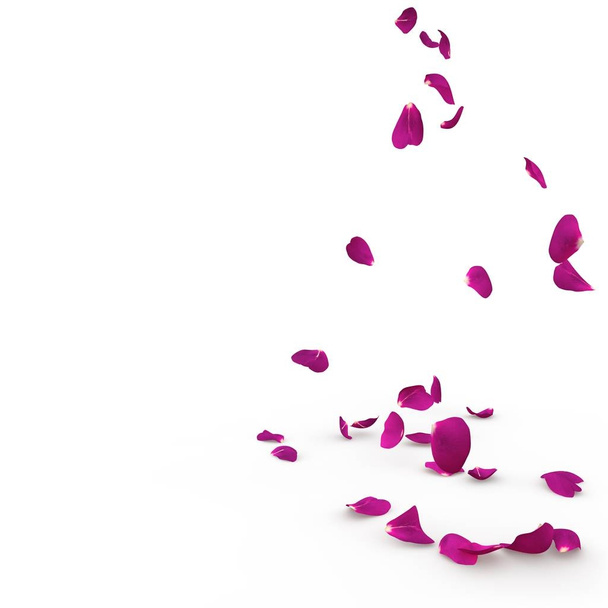 Fialovou růží spadnout na zem - Fotografie, Obrázek