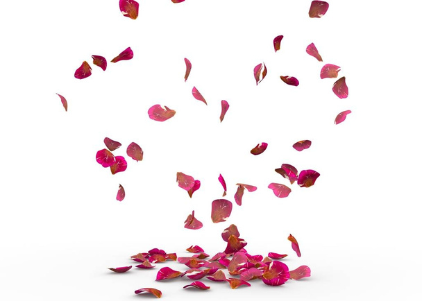 Rose petals fall to the floor - Photo, Image
