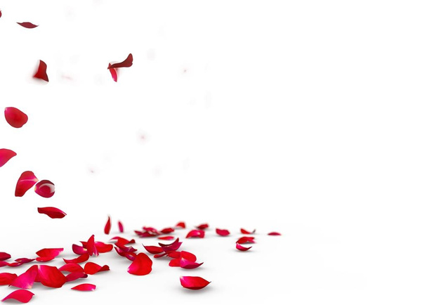 Pétalos de rosa roja caen al suelo
 - Foto, imagen