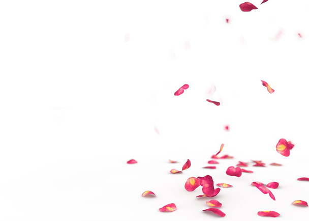 Пелюстки червоної троянди падають на підлогу
 - Фото, зображення