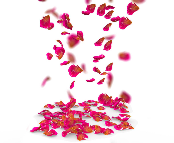 Pétalas de rosa caem no chão
 - Foto, Imagem