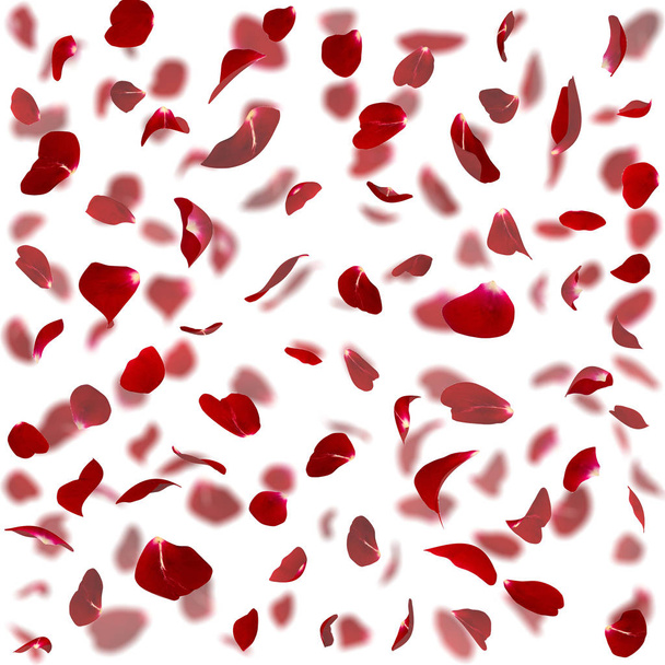 Seamless texture of red rose petals - Photo, Image
