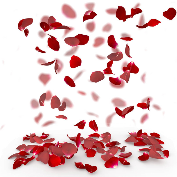 Rosenblätter fallen zu Boden. isolierter Hintergrund. verschwommener Hintergrund von Rosenblättern - Foto, Bild