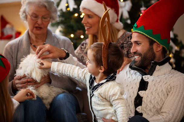 Family for Christmas caress small dog - Φωτογραφία, εικόνα