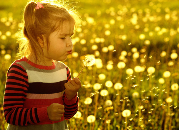 Girl blowing dandelion  - Photo, Image