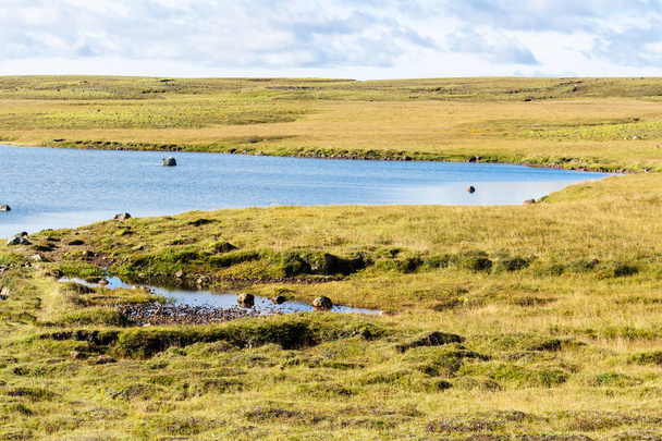 swamp landscape of Iceland in september sunny day - Photo, image