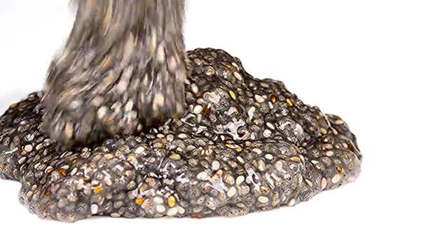Chia seeds, gel running on a table - Footage, Video