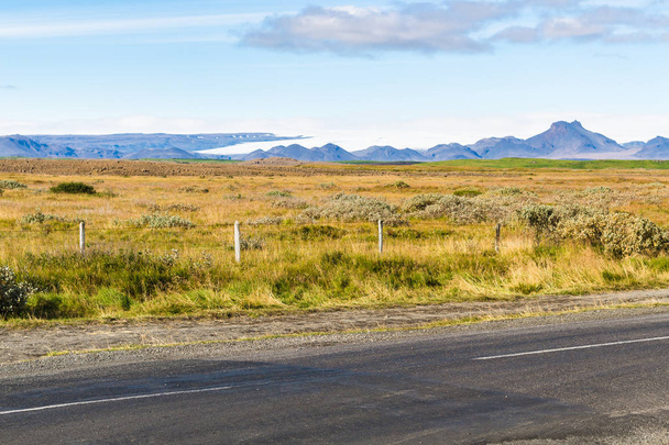 laitumen lähellä Biskupstungnabraut road Islannissa
 - Valokuva, kuva