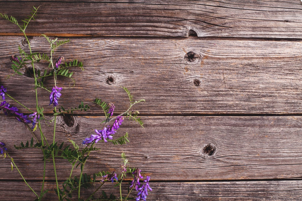 Фіолетові літні квіти на дерев'яному фоні, плоска клумба
 - Фото, зображення