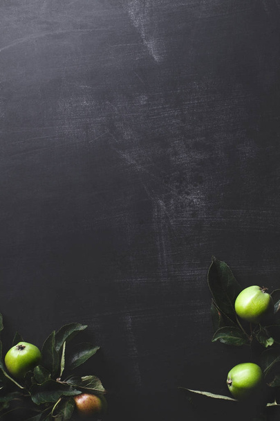 Apple branches on the bottom of blackboard, flat lay - Photo, image