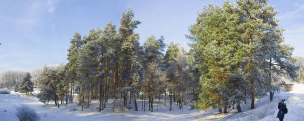 Зимний пейзаж с инеем деревьев. Польский сфотографирован в морозный день
. - Фото, изображение