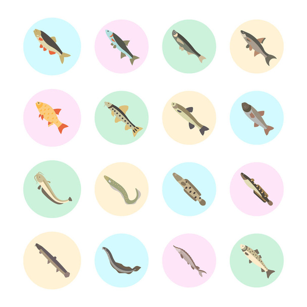Állítsa be a vektoros lapos ikonok az édesvízi halak - Vektor, kép