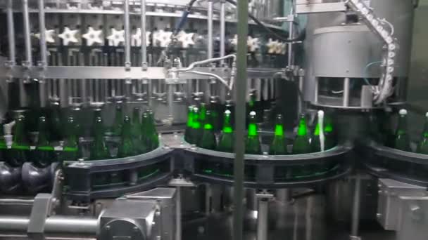 A zöld színű üvegek mozognak szállítószalag - Felvétel, videó