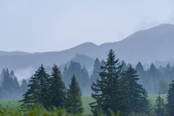 mountain area view in slovakia - Photo, Image