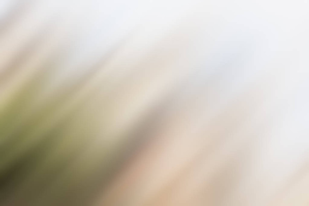 Light abstract gradient motion blurred background. Colorful line - Photo, Image
