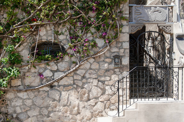 A kapu, és egy falat ágak és levelek, Positano, Amalfi-part - Fotó, kép