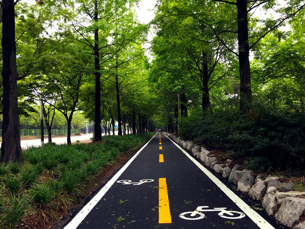 Bisiklet şeritleri işaretleri - Fotoğraf, Görsel